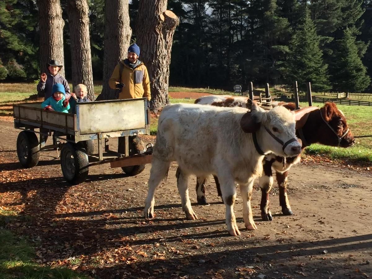Mohaka River Farm Te Haroto Esterno foto