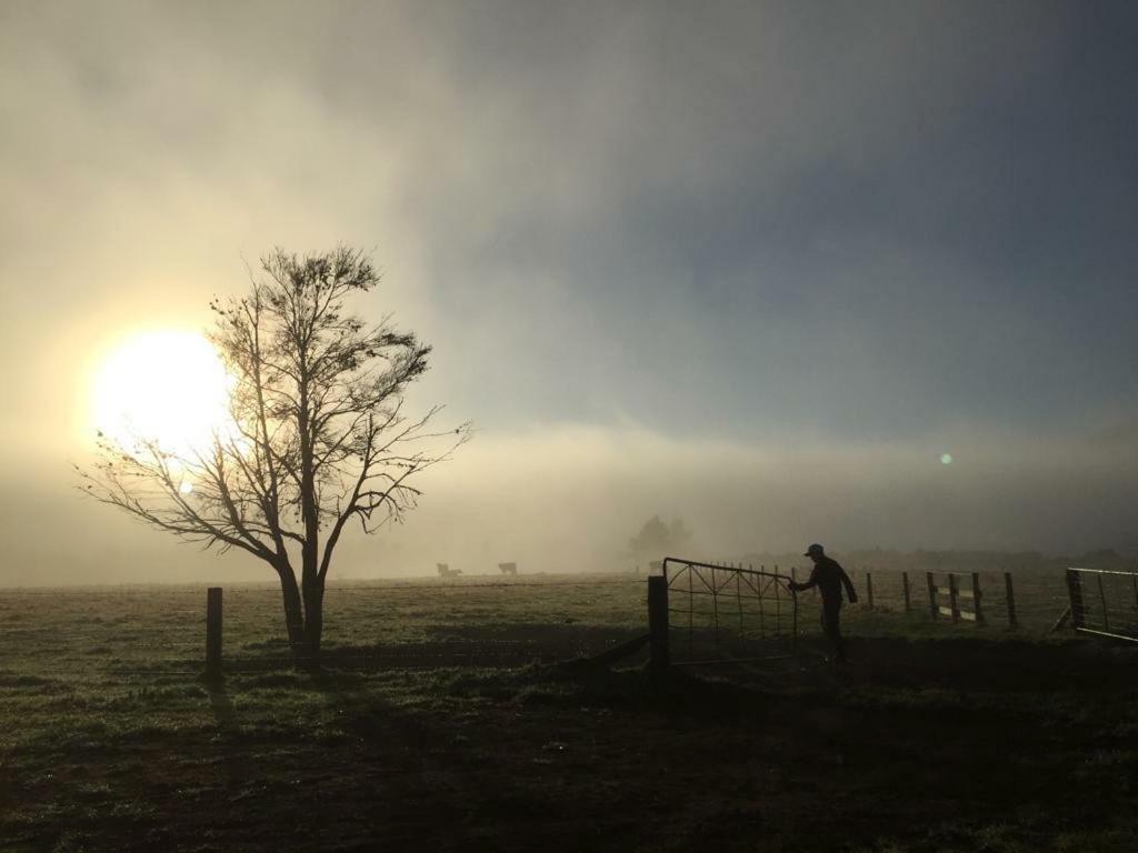 Mohaka River Farm Te Haroto Esterno foto